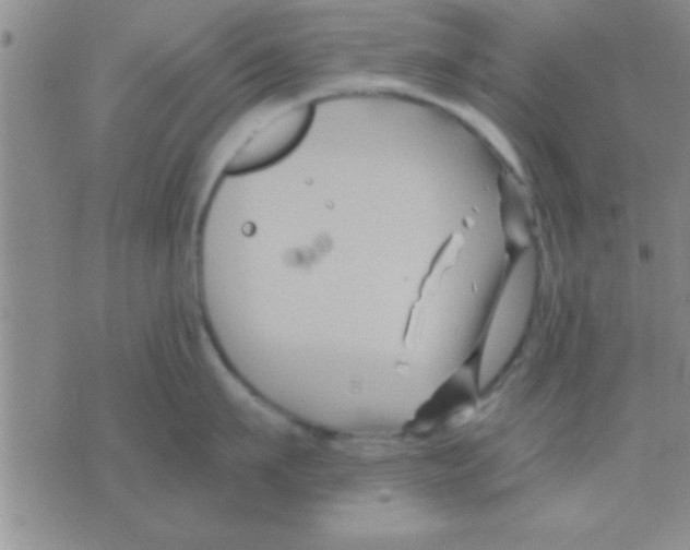 X0000075920911200610151903