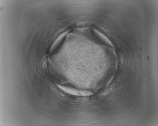 X0000075920914200610151902