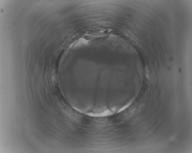 X0000075920915200610151902