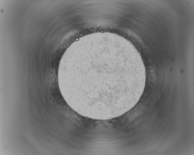 X0000075920918200610151902