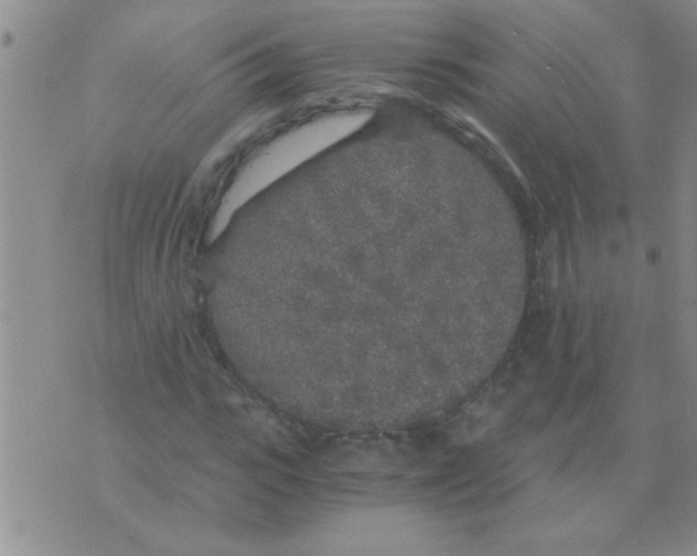 X0000075920919200610151902