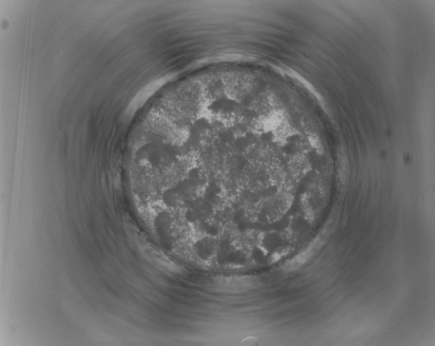 X0000075920921200610151902