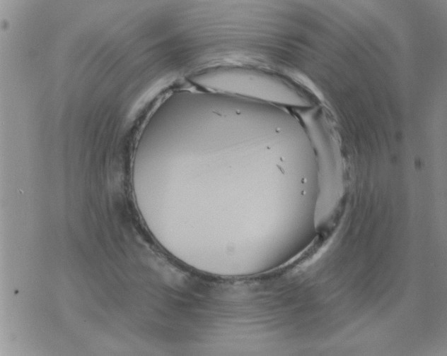 X0000075920922200610151902