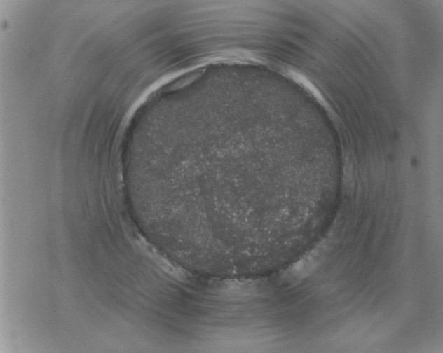 X0000075920923200610151902