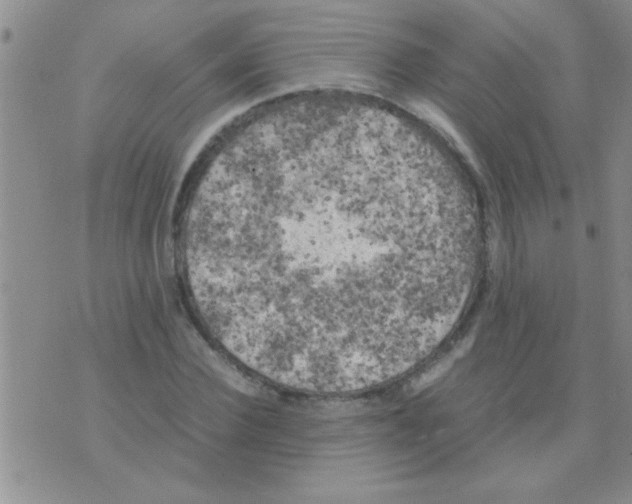 X0000075920924200610151902