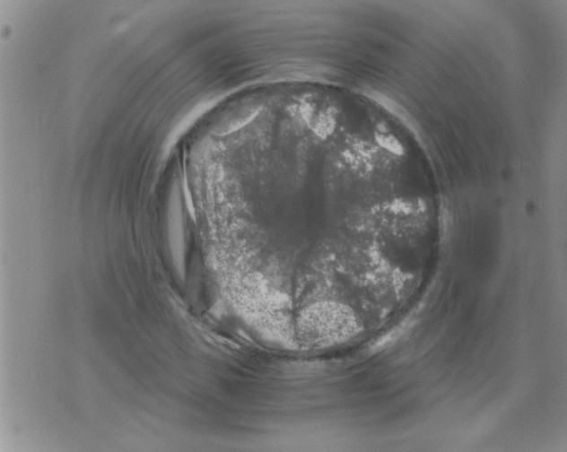 X0000075920925200610151902