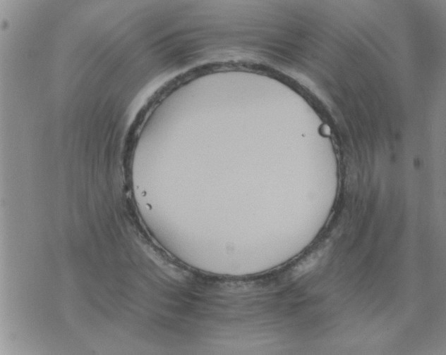 X0000075920927200610151902