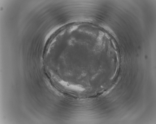 X0000075920928200610151902