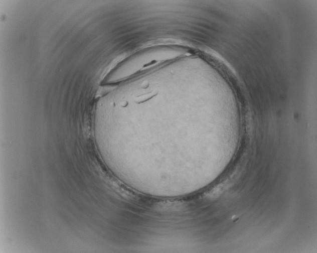 X0000075920929200610151903