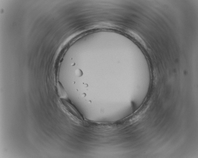 X0000075920931200610151903