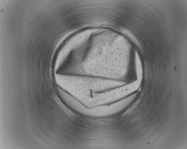 X0000075920932200610151903