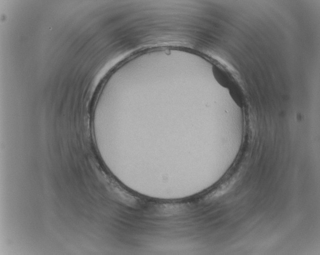 X0000075920933200610151903