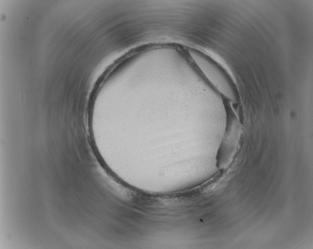 X0000075920935200610151903