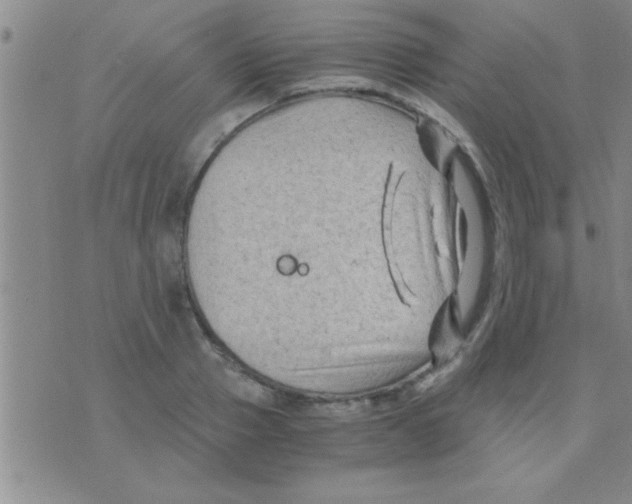 X0000075920937200610151903