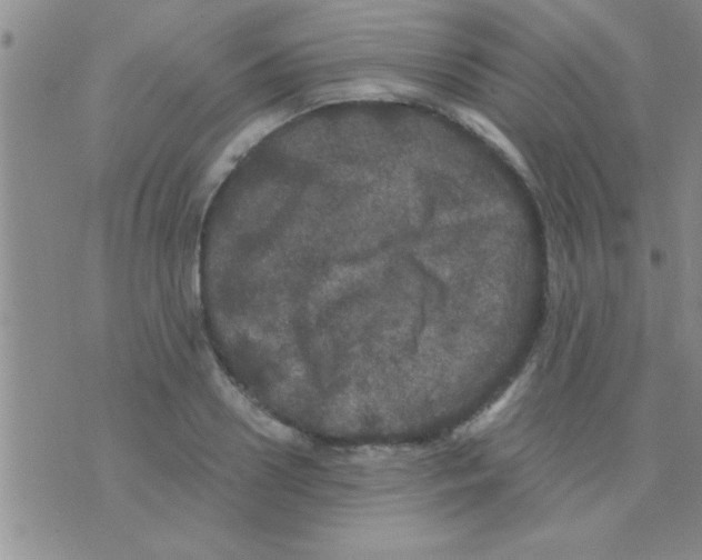 X0000075920938200610151903