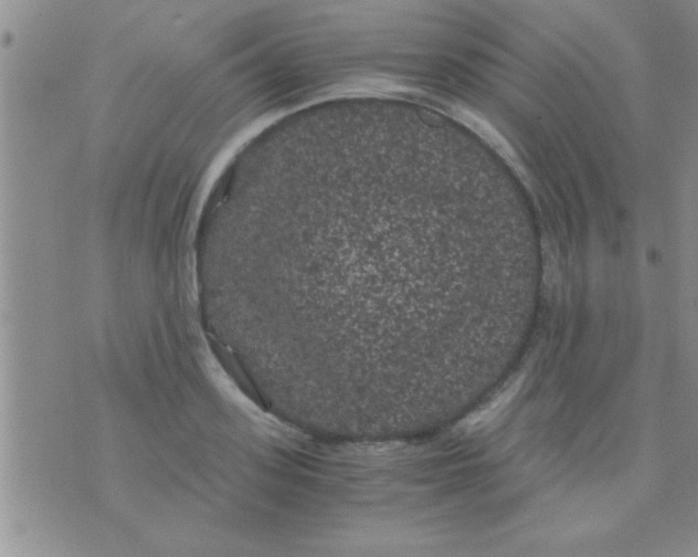 X0000075920939200610151903