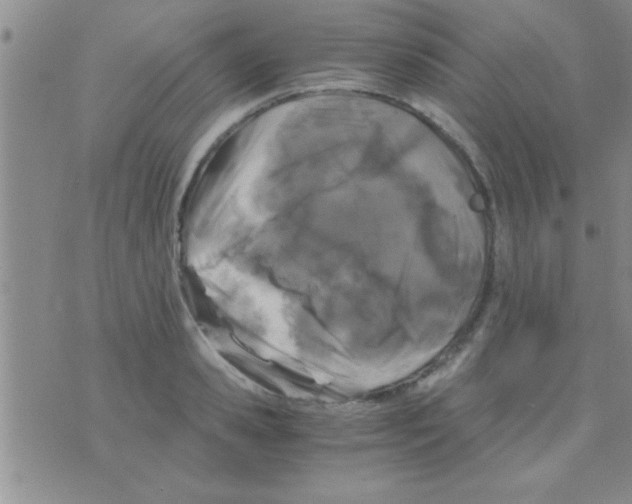 X0000075920941200610151903