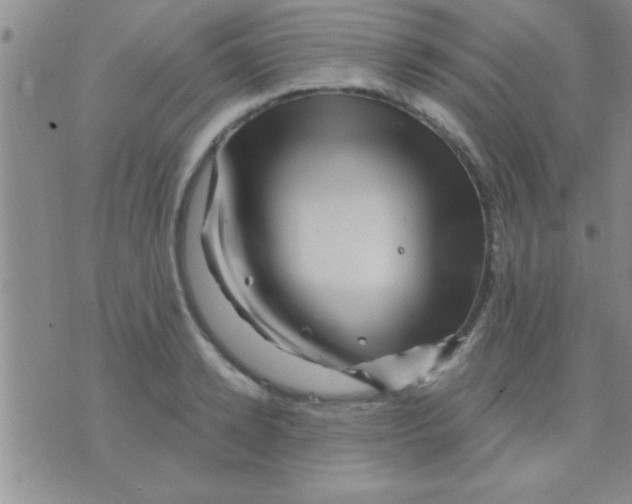 X0000075920942200610151903