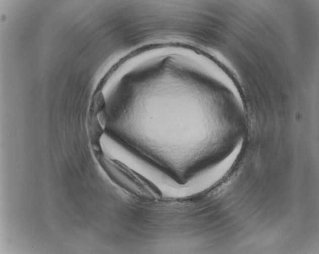 X0000075920943200610151903