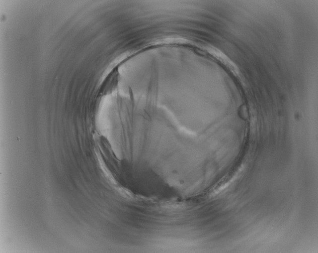 X0000075920945200610151903