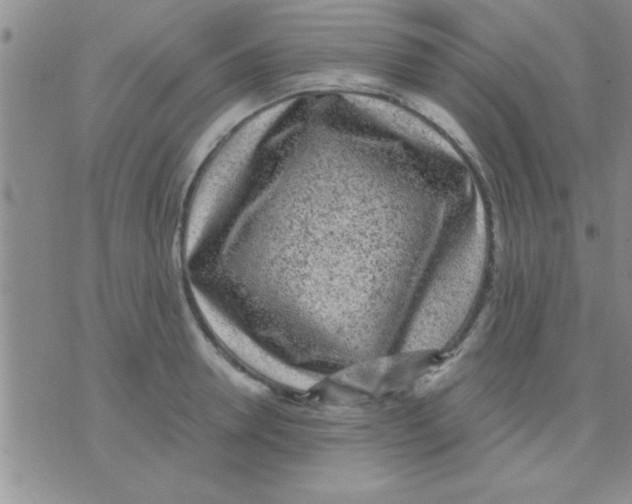 X0000075920946200610151903