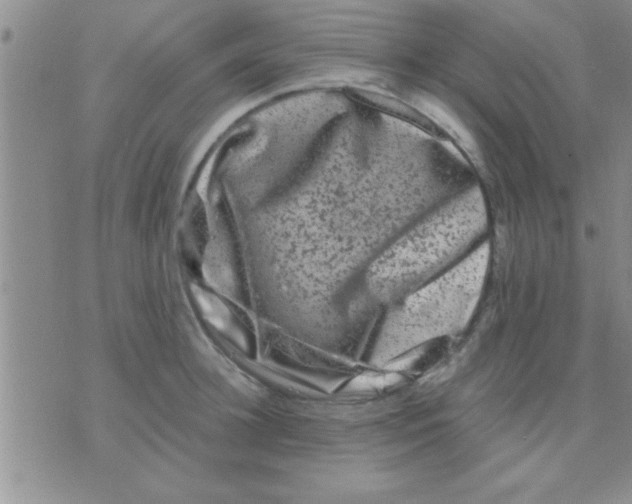 X0000075920948200610151903