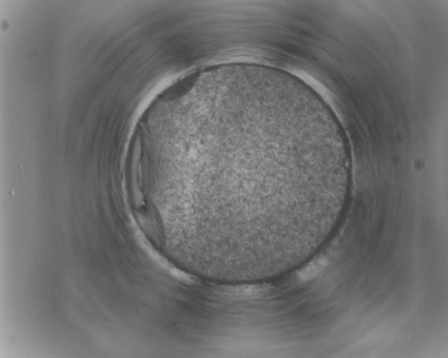 X0000075920949200610151903