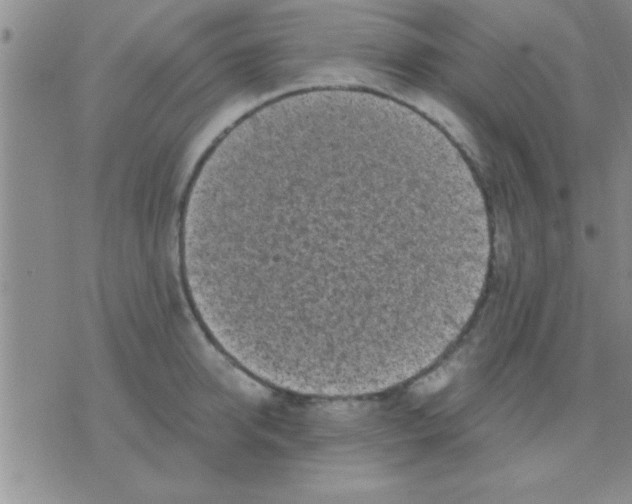 X0000075920950200610151903