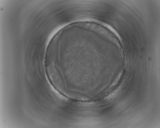 X0000075920951200610151903