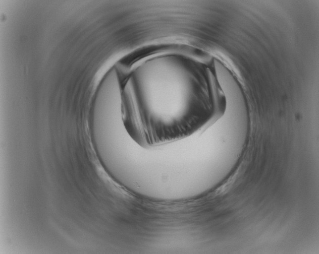 X0000075920952200610151903