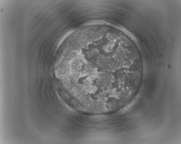 X0000075920953200610151903