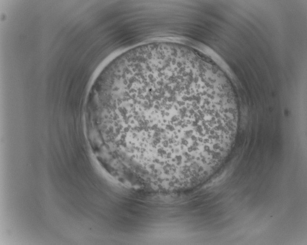 X0000075920955200610151903