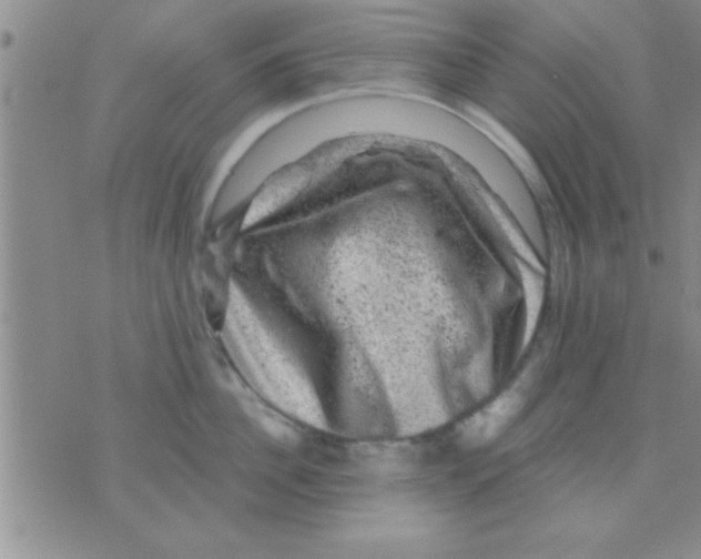 X0000075920956200610151903