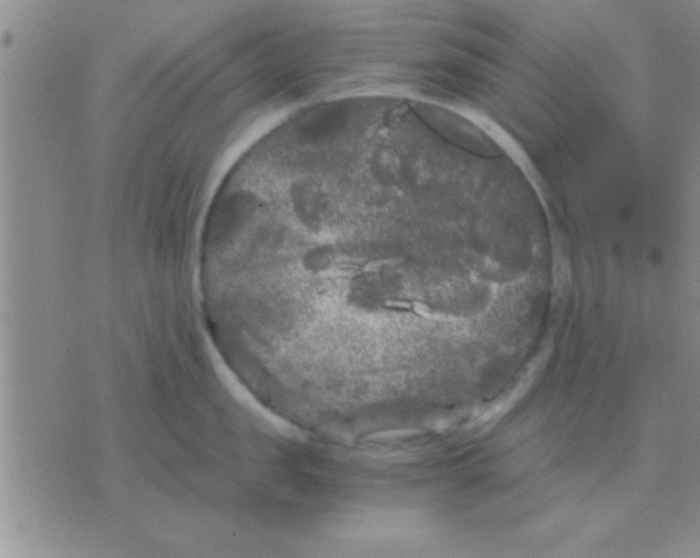 X0000075920957200610151903