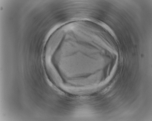 X0000075920958200610151903