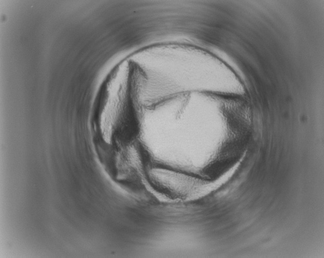 X0000075920959200610151903