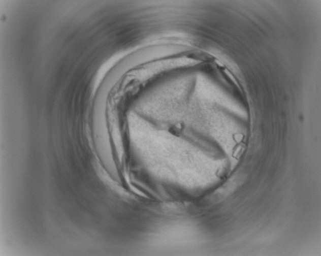 X0000075920960200610151903