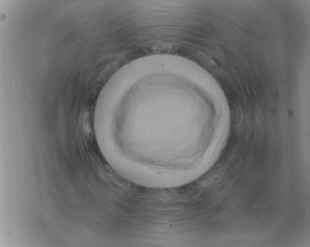 X0000075920962200610151902