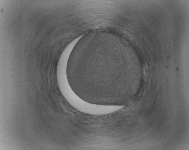 X0000075920963200610151902