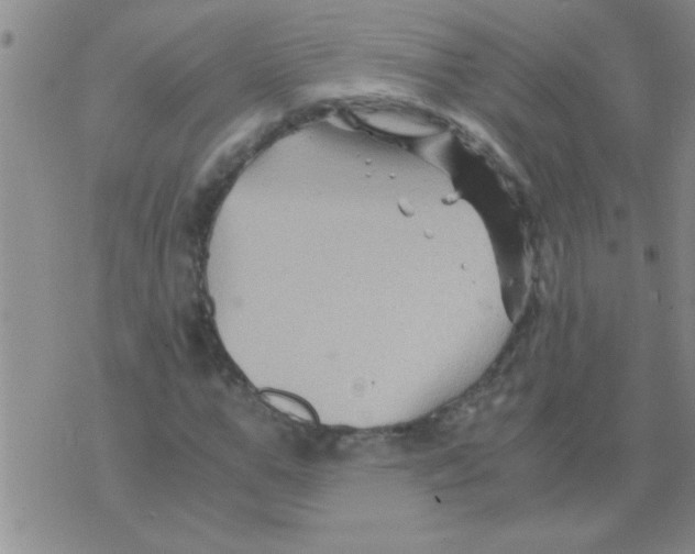 X0000075920967200610151902