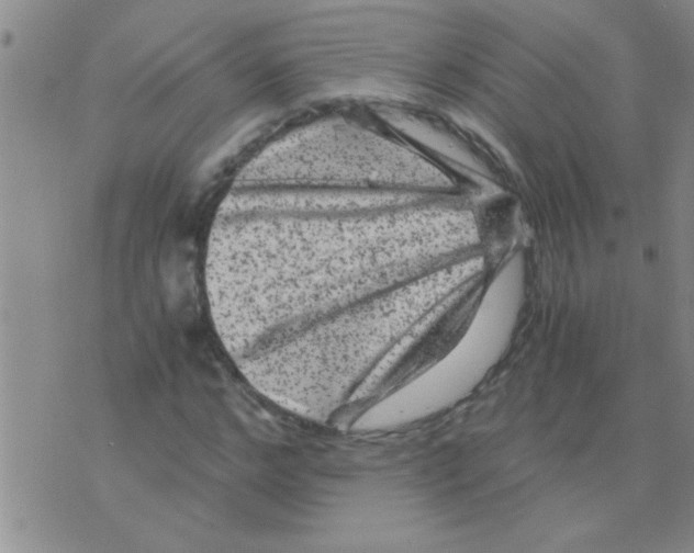 X0000075920968200610151902