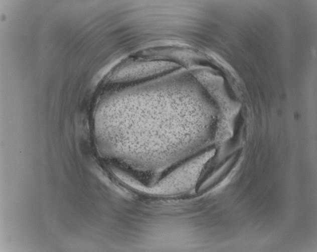 X0000075920969200610151902