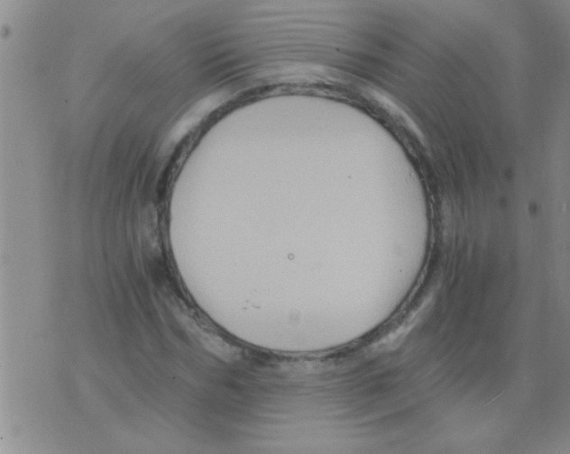 X0000075920970200610151902