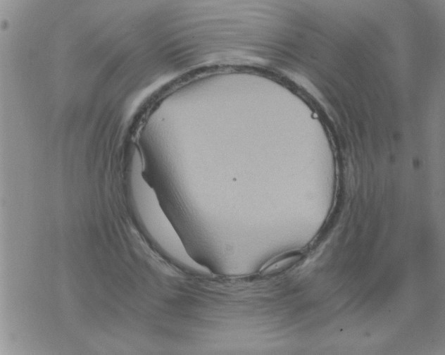 X0000075920971200610151902