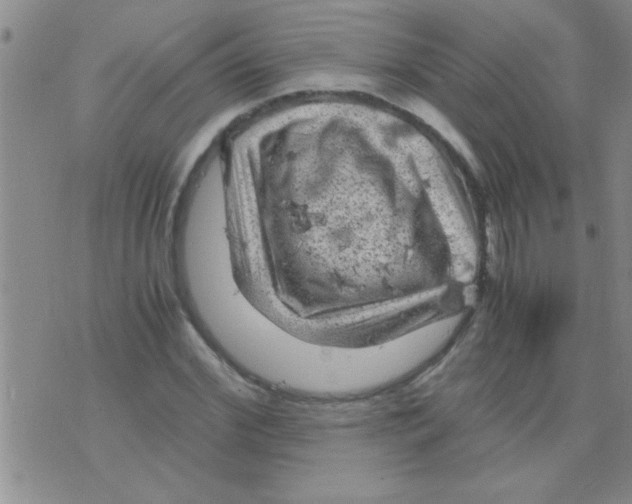 X0000075920972200610151902