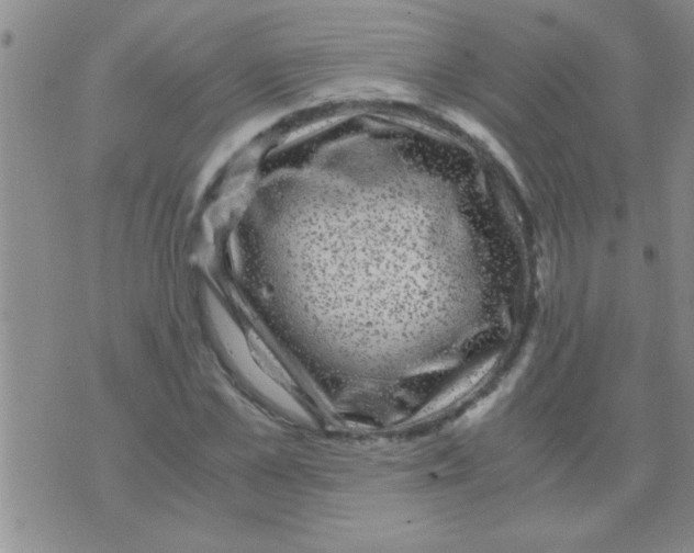 X0000075920973200610151902