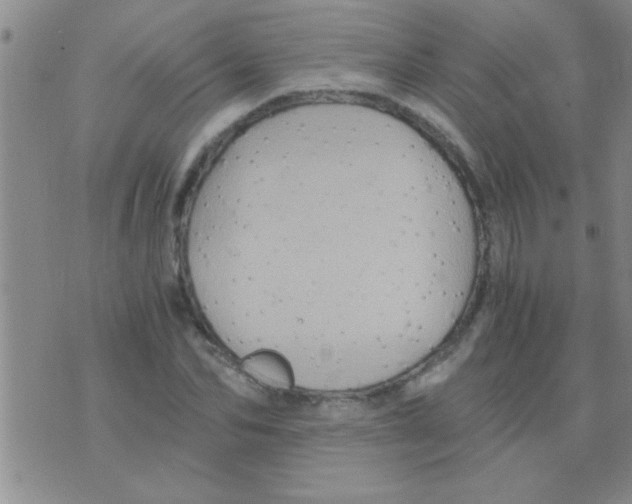 X0000075920974200610151902