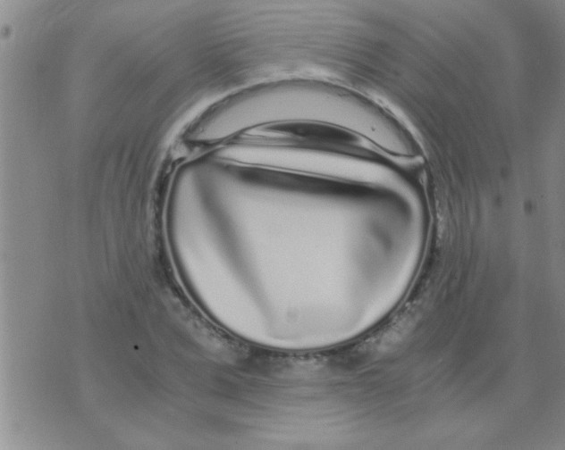 X0000075920975200610151902