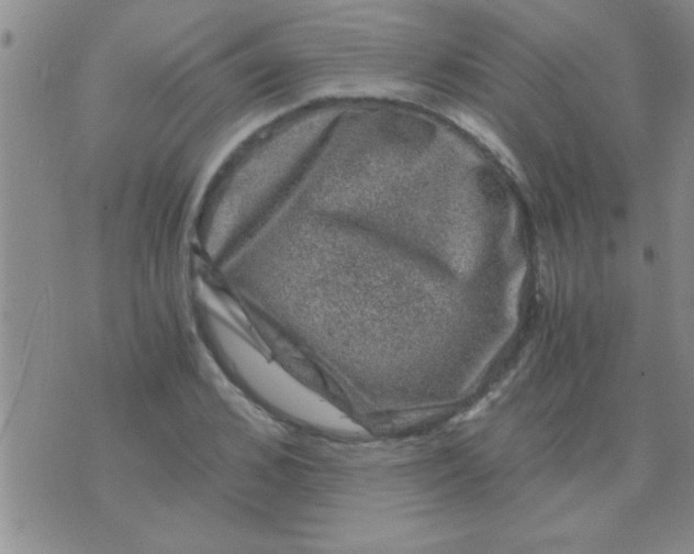 X0000075920976200610151902