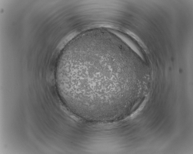 X0000075920977200610151902